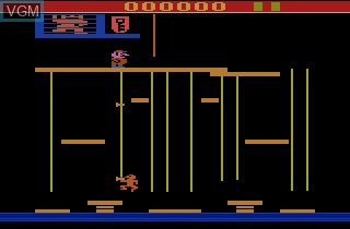 In-game screen of the game Donkey Kong Junior on Atari 2600