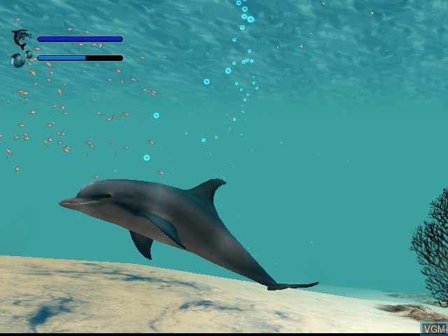 In-game screen of the game Ecco the Dolphin - Defender of the Future on Sega Dreamcast