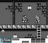 In-game screen of the game Teenage Mutant Ninja Turtles 3 - Turtles Kiki Ippatsu on Nintendo Game Boy