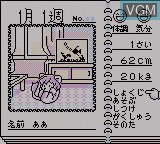 In-game screen of the game Animal Breeder on Nintendo Game Boy