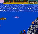 In-game screen of the game Ecco - The Tides of Time on Sega Game Gear