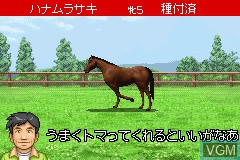 In-game screen of the game Derby Stallion Advance on Nintendo GameBoy Advance