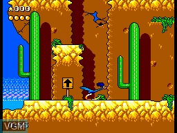 In-game screen of the game Desert Speedtrap - Starring Road Runner and Wile E. Coyote on Sega Master System