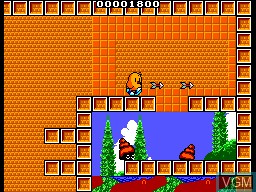 In-game screen of the game New Zealand Story, The on Sega Master System