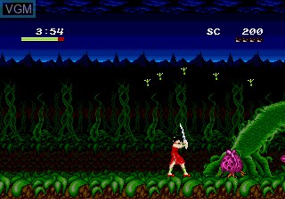 In-game screen of the game Mamono Hunter Yohko - Dai-7 no Keishou on Sega Megadrive
