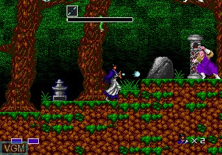 In-game screen of the game Mystic Defense on Sega Megadrive