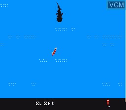 In-game screen of the game Black Bass USA, The on Nintendo NES
