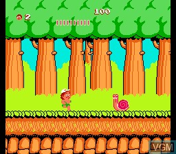 In-game screen of the game Adventure Island on Nintendo NES