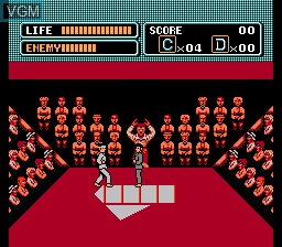 In-game screen of the game Karate Kid, The on Nintendo NES