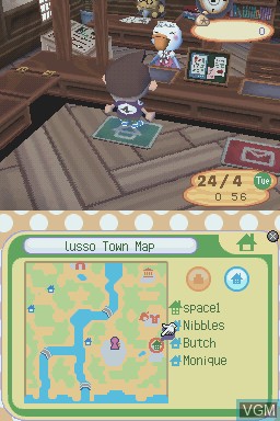 In-game screen of the game Animal Crossing - Wild World on Nintendo DS