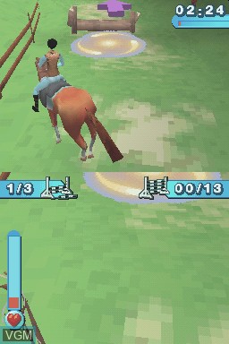 In-game screen of the game Horsez on Nintendo DS