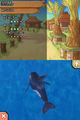 In-game screen of the game Dolphin Island on Nintendo DS