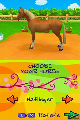 In-game screen of the game Petz - Horsez 2 on Nintendo DS