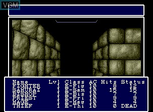 In-game screen of the game Wizardry I & II on NEC PC Engine CD