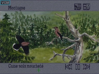 In-game screen of the game Quel est donc cet oiseau - nature on cdi on Philips CD-i